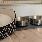 Hintermoos شقة Kißlegg