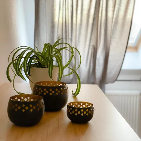 Appartement Hintermoos