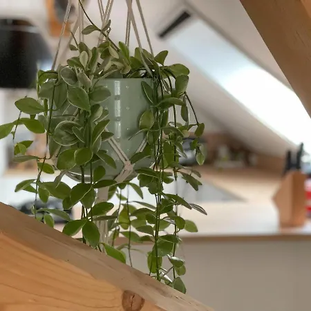 Hintermoos Appartement Kißlegg