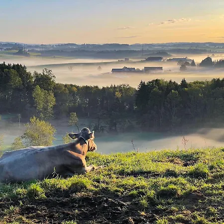 Hintermoos Appartement *