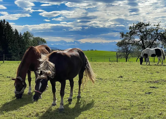 Hintermoos Lägenhet Kißlegg