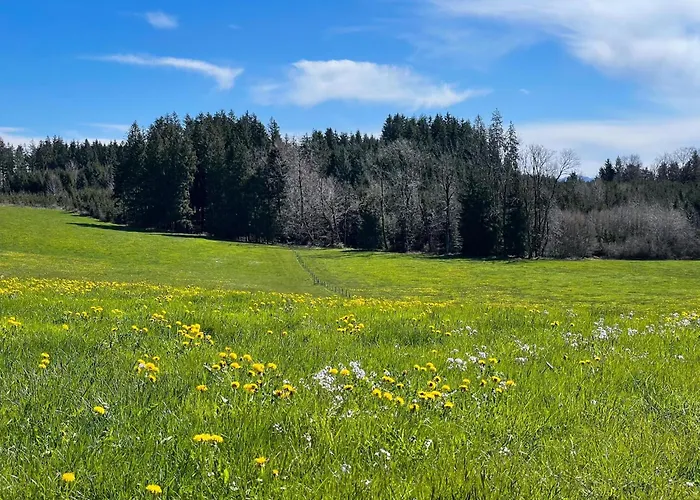 Hintermoos Lägenhet Kißlegg