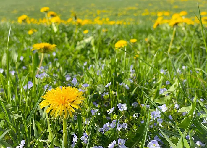 Lägenhet Hintermoos