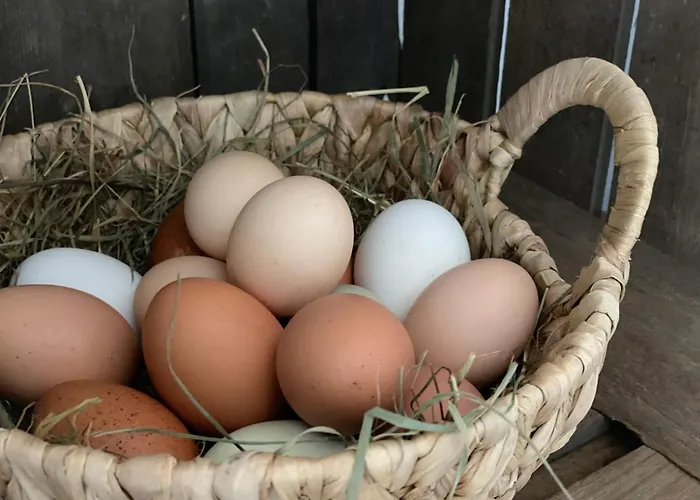 Hintermoos Lägenhet